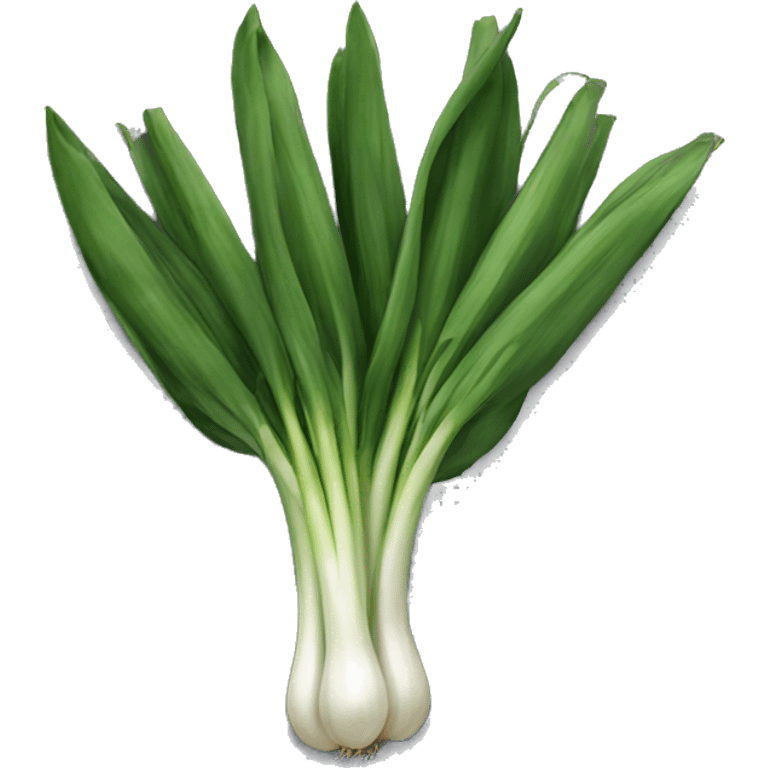 scallion emoji