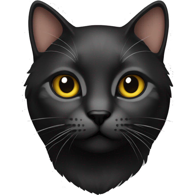 Cat black emoji