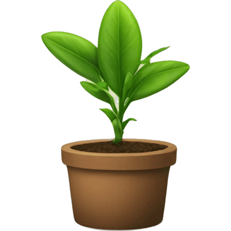 Plant grows in pillie  emoji