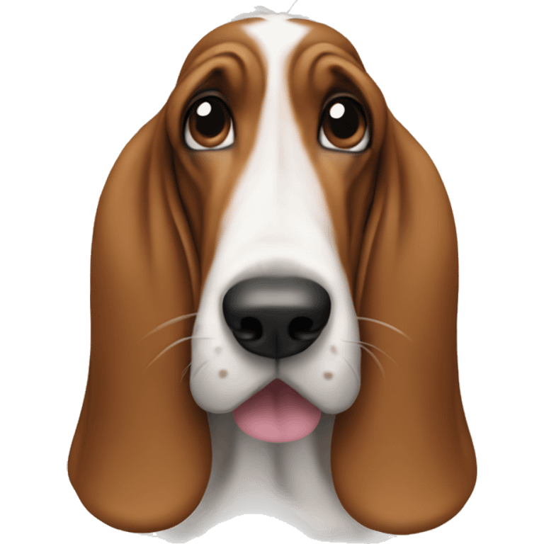 Basset hound in a tutu emoji