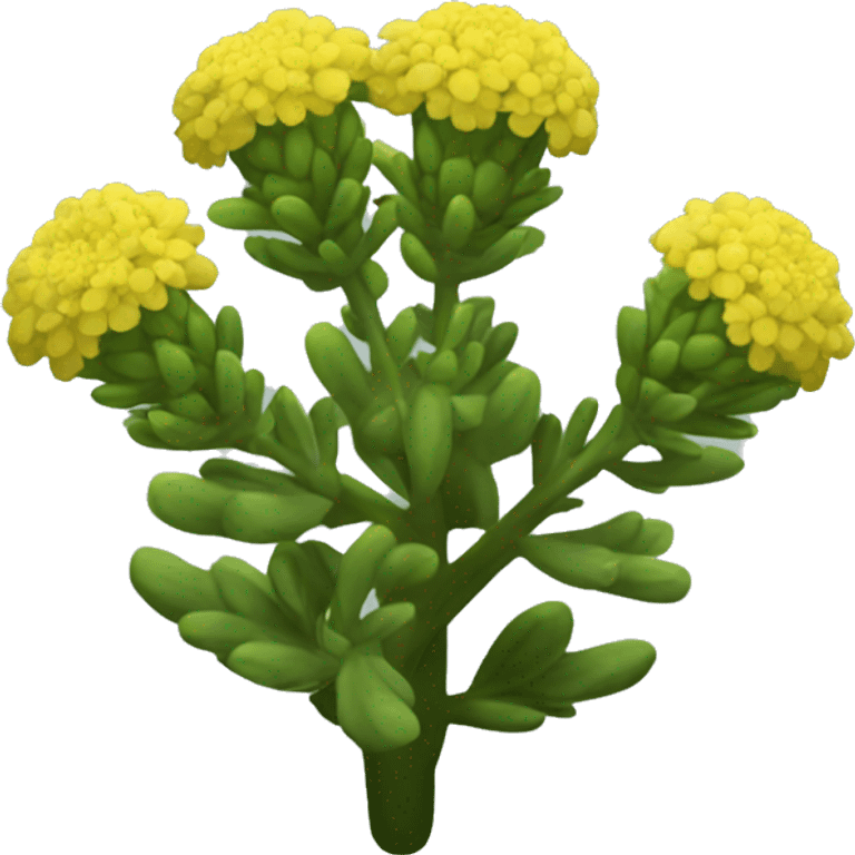 Rhodiola rosea emoji