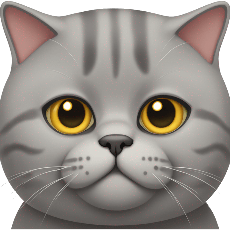 British shorthair cat chonky emoji