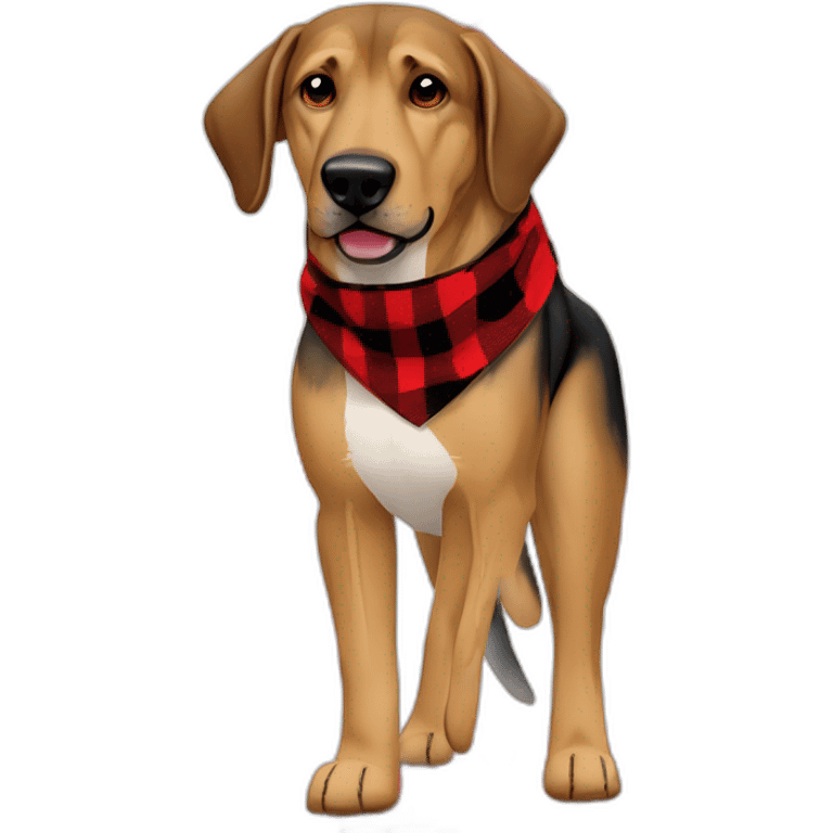 adult 75% Coonhound 25% German Shepherd mix dog wearing small pointed red buffalo plaid bandana full body walking left with leash emoji