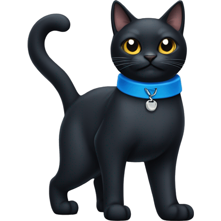 Black cat with blue collar  emoji