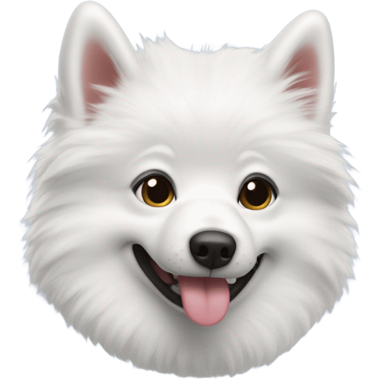 American Eskimo with blue collar tongue out emoji