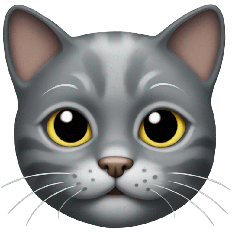 pirate gray cat emoji