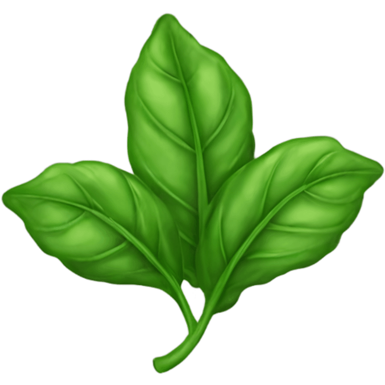 Basil leaves  emoji