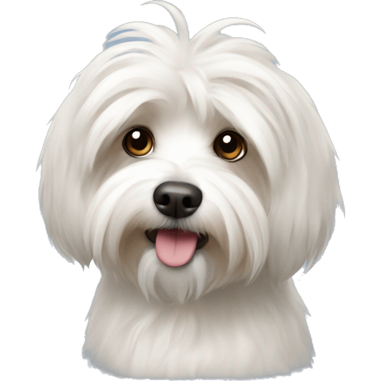 Havanese emoji