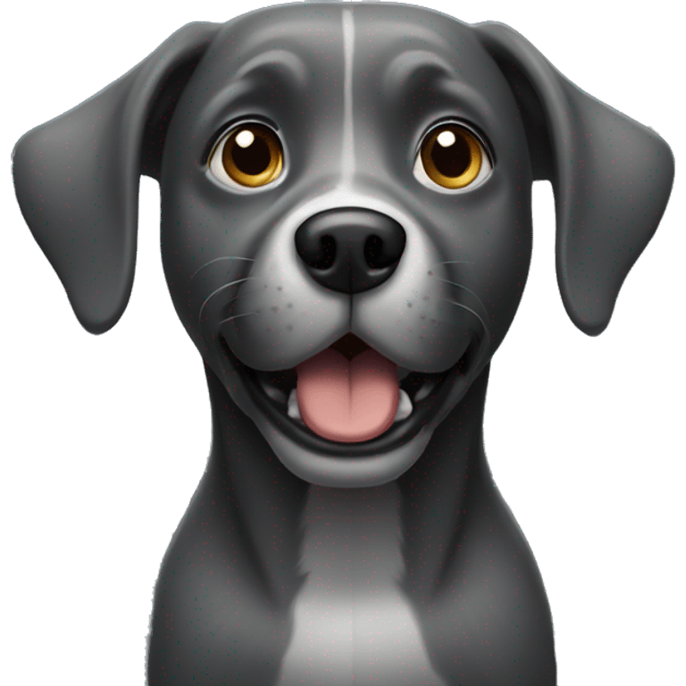 Dark Grey dog begging emoji