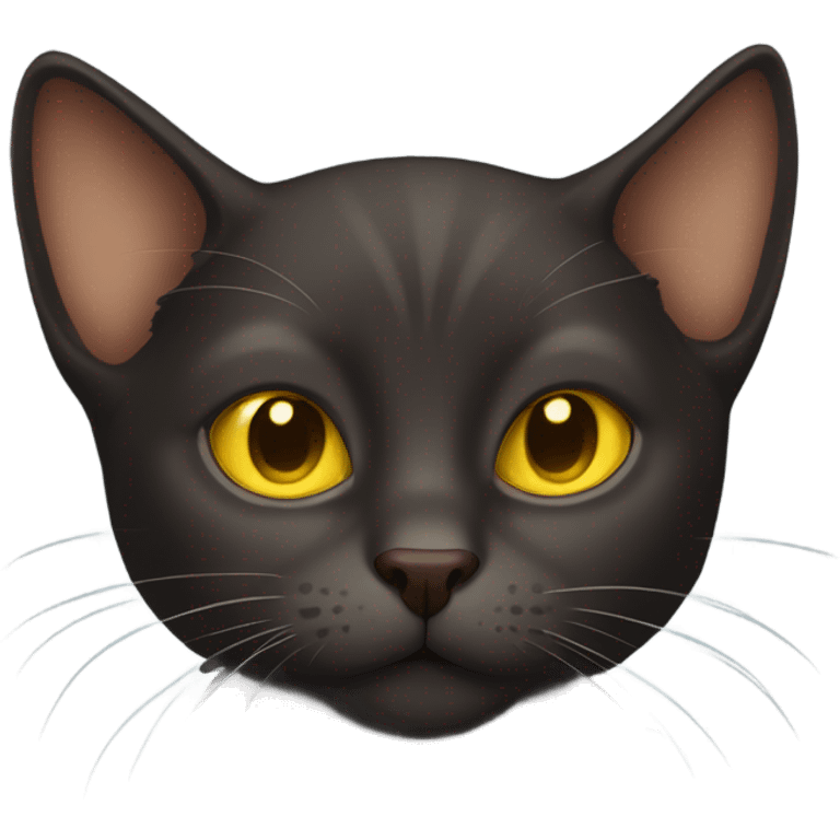 Dark brown cat with yellow eyes and big ears  emoji