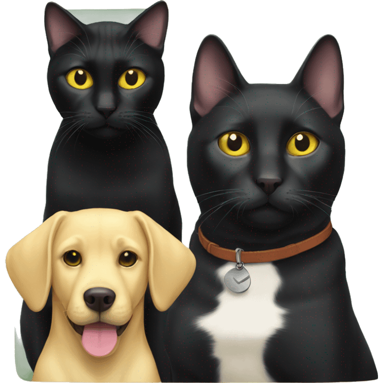 Black cat and yellow lab emoji