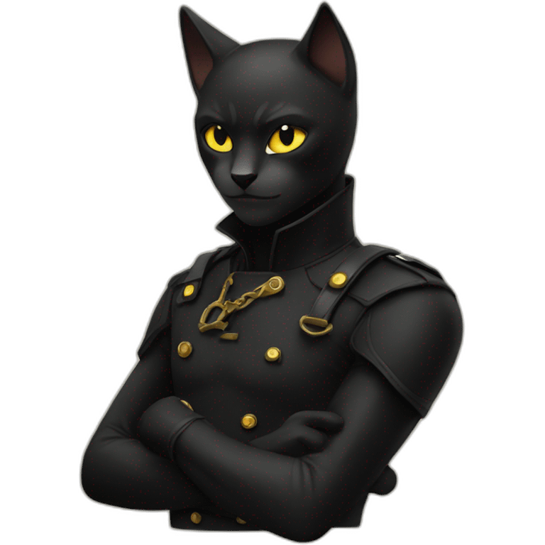 Chat noir et balnc emoji