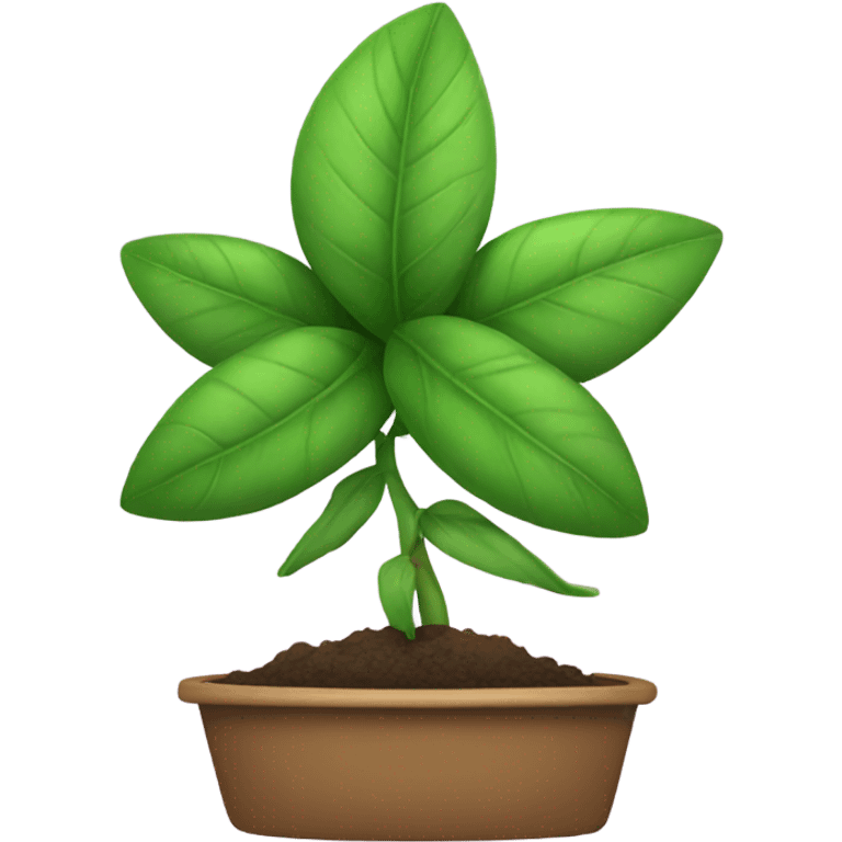 Plant wearing a bow emoji