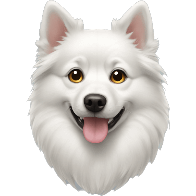 White dog pomsky emoji