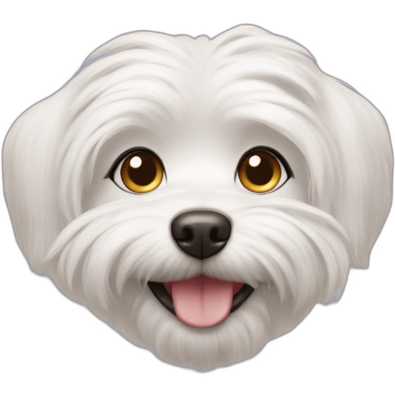 Dog maltese Heart-shaped smiling face emoji