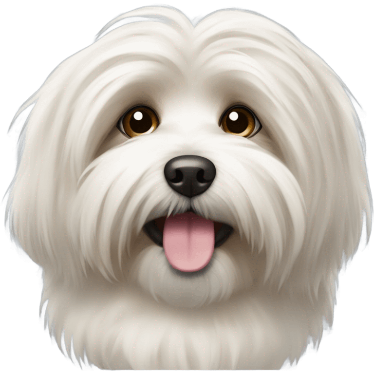 havanese  emoji