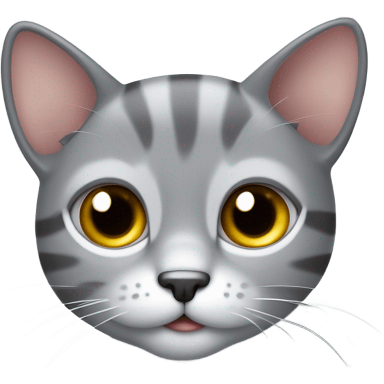 Gato gris cute emoji