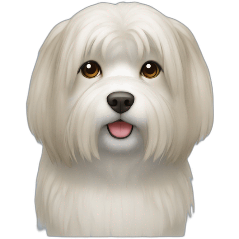 minju (lhasa breed) emoji