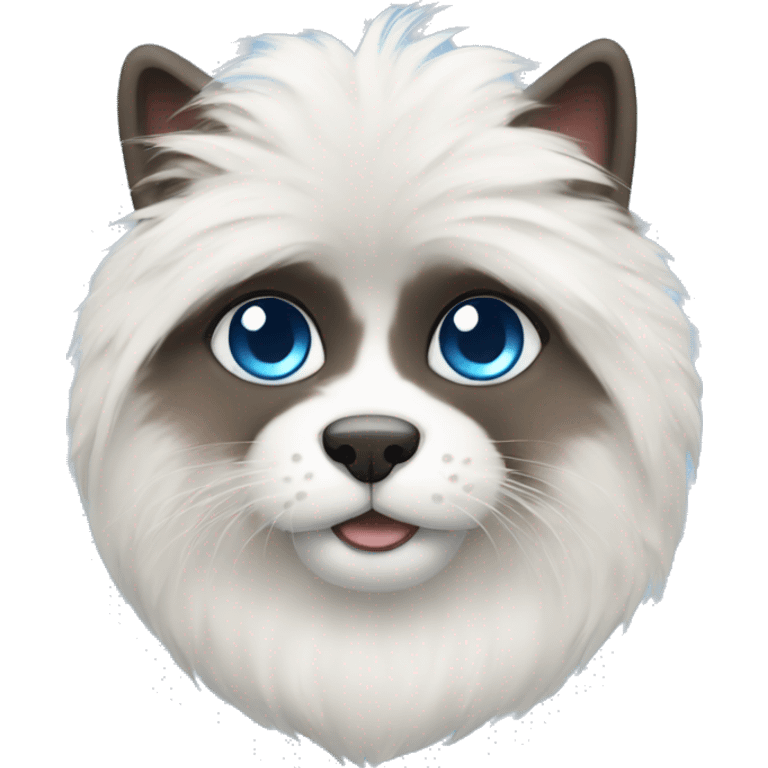 himalayan with white fur and blue eyes emoji