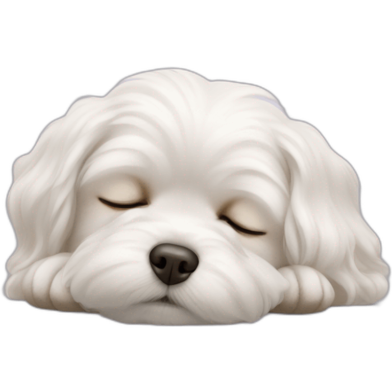 Maltese face sleeping emoji