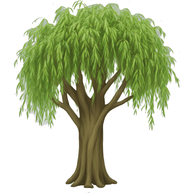 A willow tree  emoji