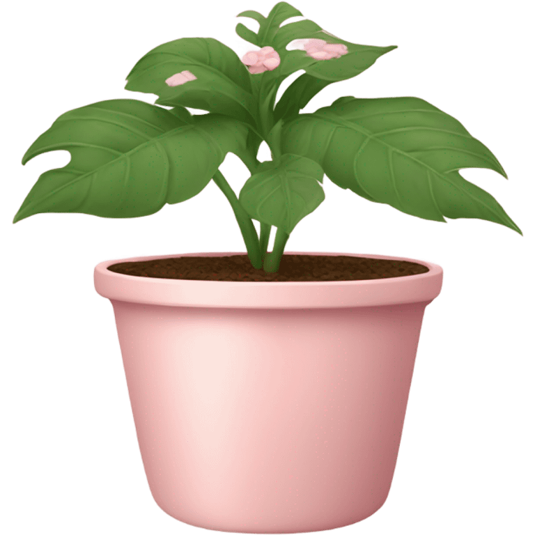 Pink plant in pale pink pot emoji