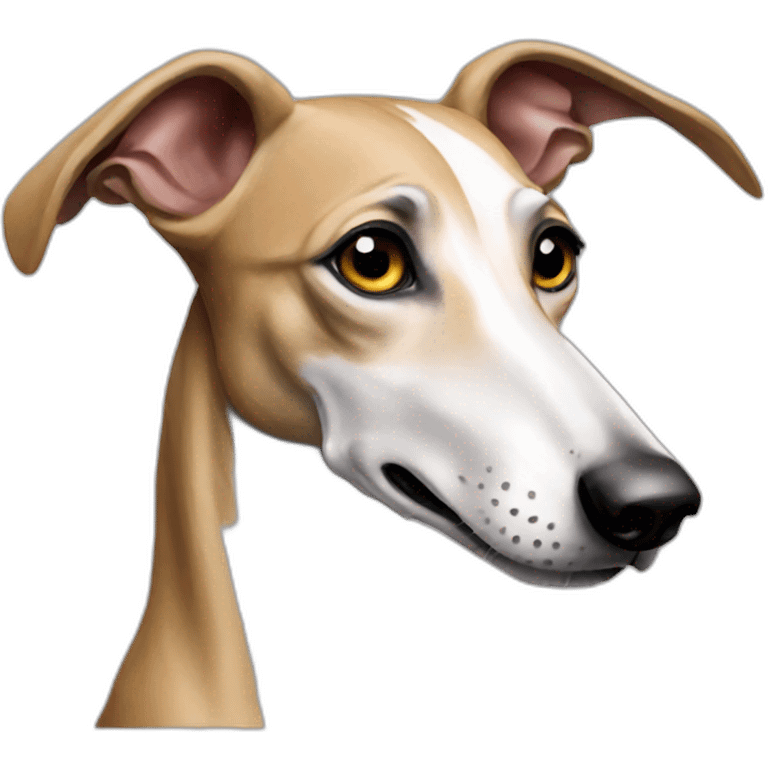 galgo emoji