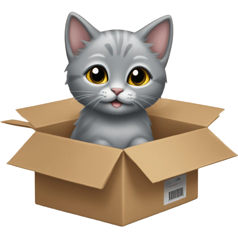 The grey kitten is in the cardboard box fo emoji