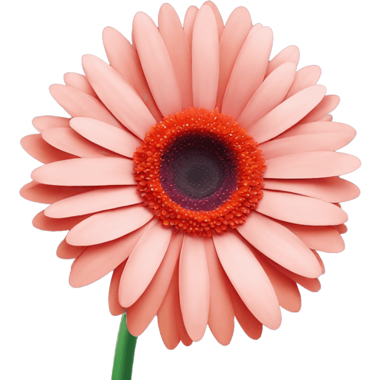 gerbera daisy emoji