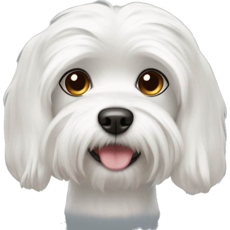 White Maltese dog emoji