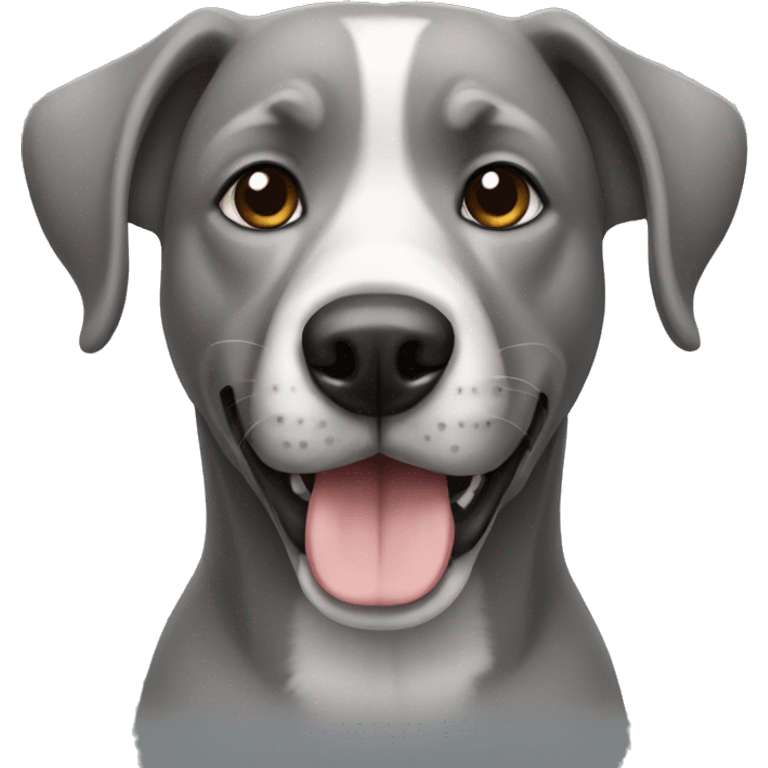 dog grey  emoji