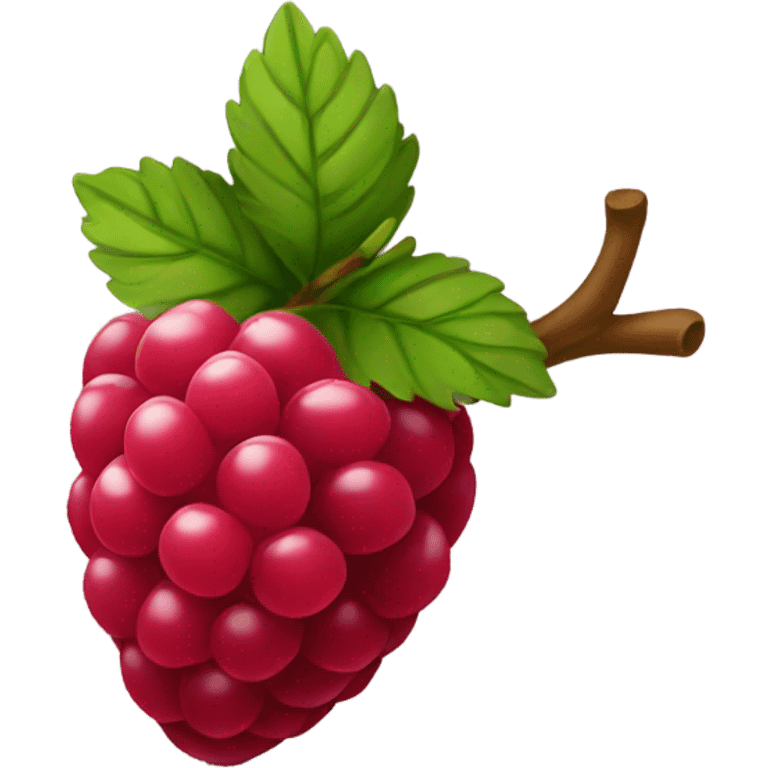 raspberry  emoji