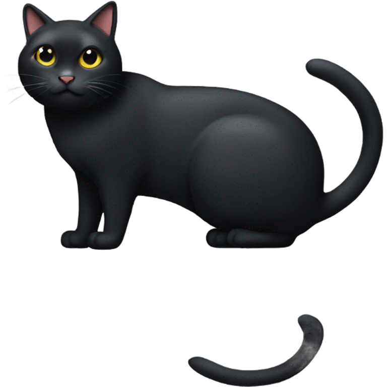 a really fat black cat with a chopped left ear  emoji