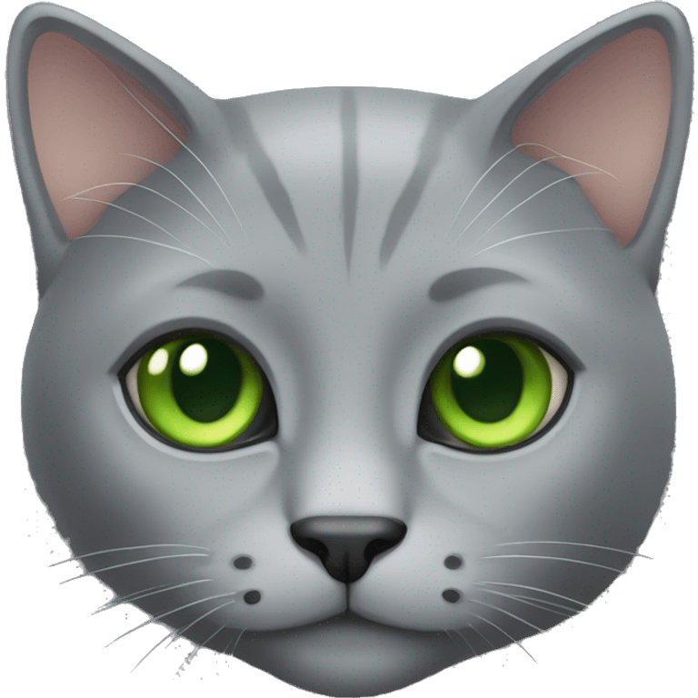 solid gray cat with green eyes emoji