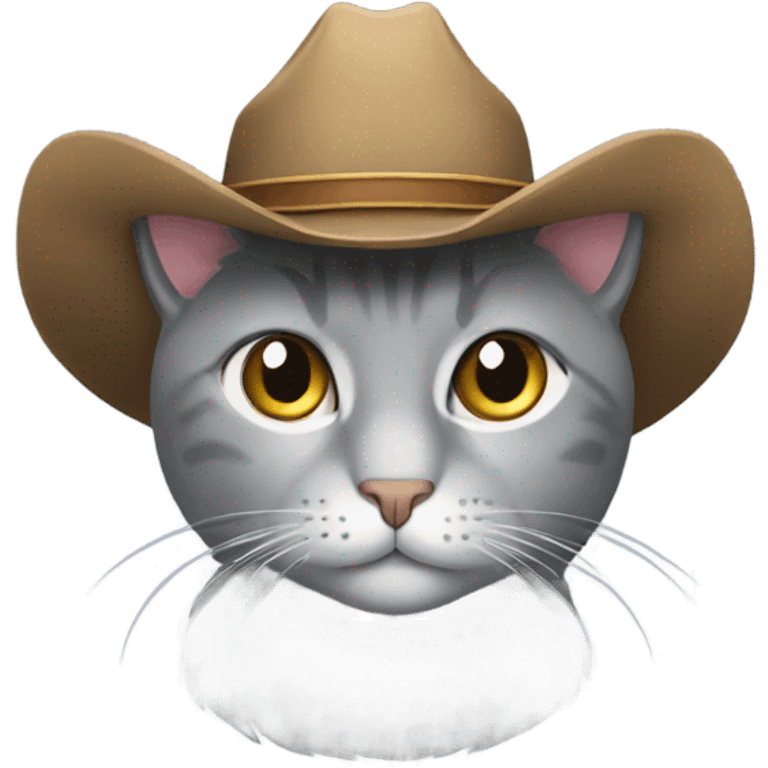 gray cat with a cowboy hat emoji