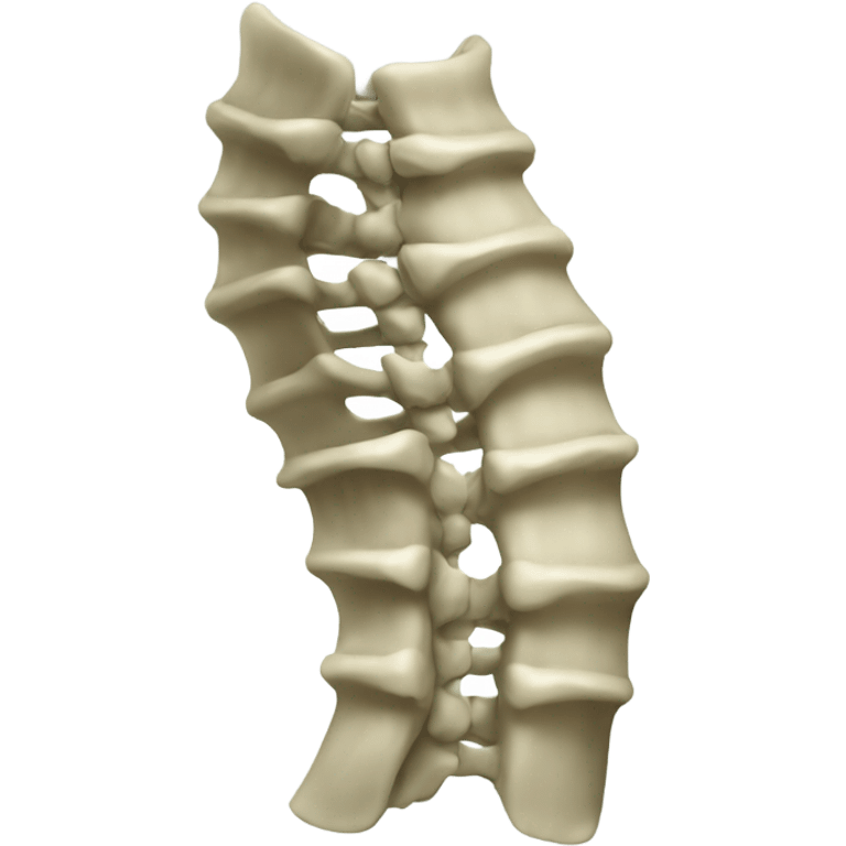 scoliosis spine emoji