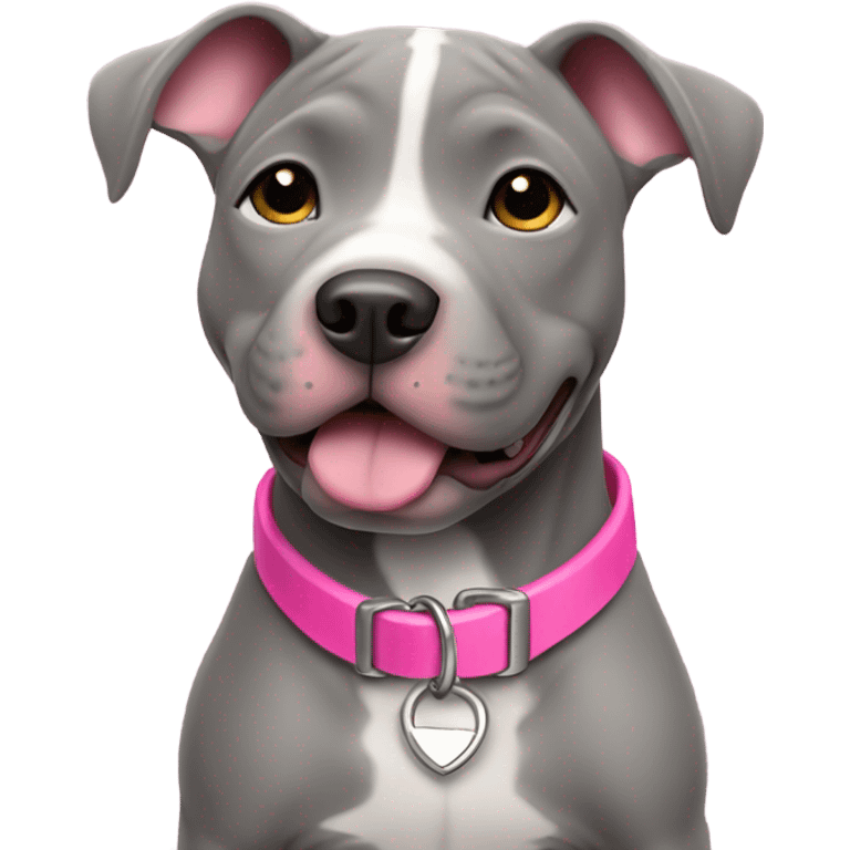 Grey pittbull puppy with a pink collar emoji