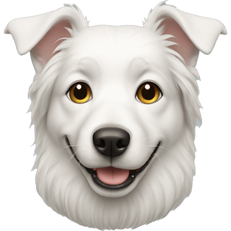 white dog emoji