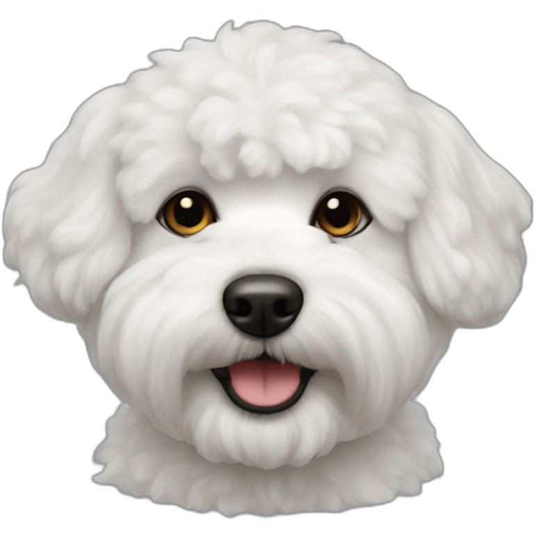 bichon-havanais-half-white-black emoji