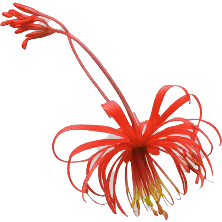 The Lycoris radiata flower emoji