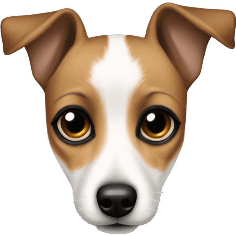 Small jack russel terrier with big dolly eyes, and as if a black eye liner on eyes emoji