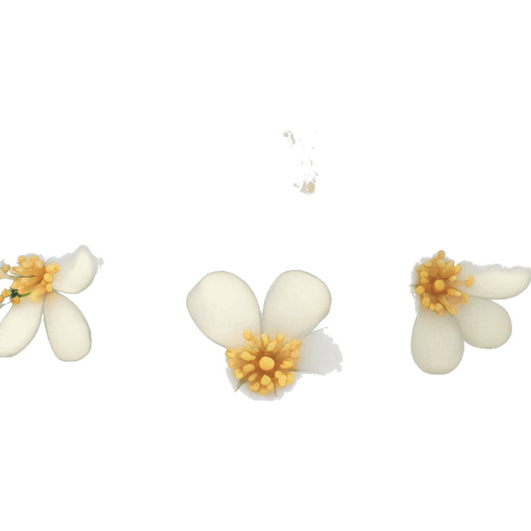 Iphone emoji Ashwagandha flowers emoji