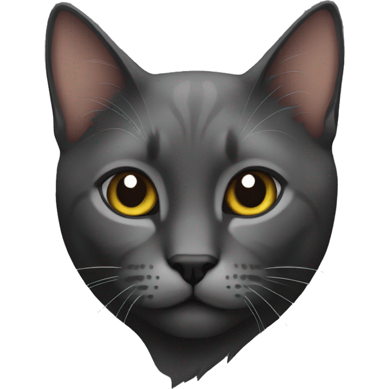 Cat black  emoji