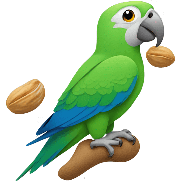 Quaker parrot eating a peanut emoji