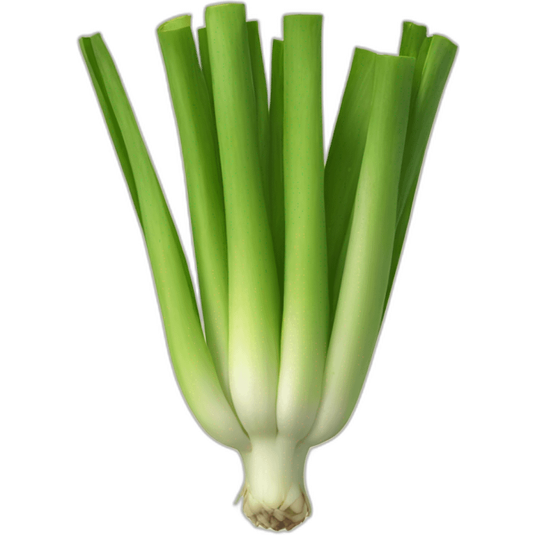 leek emoji