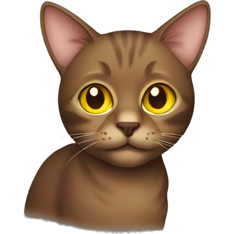 brown cat with yellow eyes  emoji