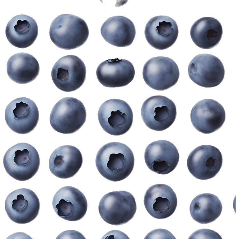 small blueberries in light plastic container from farmer’s market realistic soft textures no shadow emoji