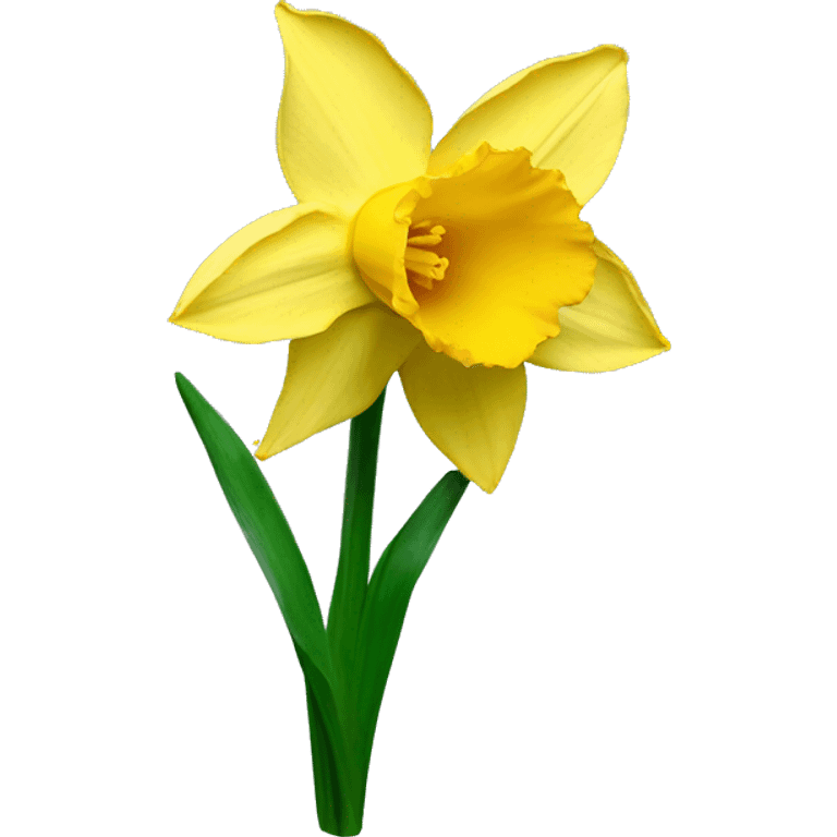 Daffodil emoji