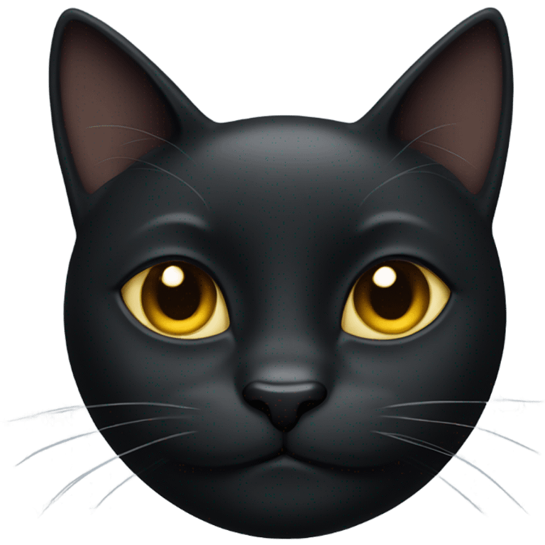 black cat smirking  emoji