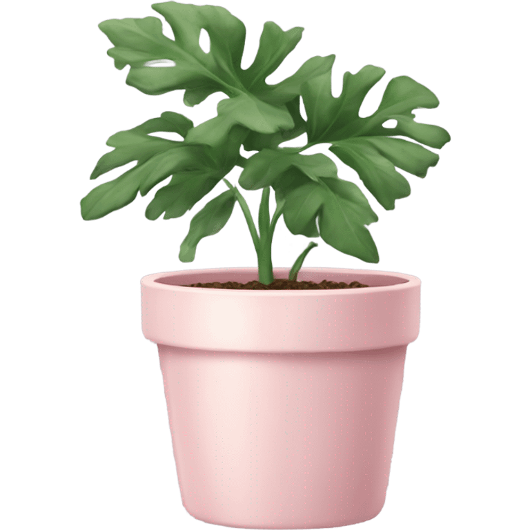 Plant in a pale pink pot  emoji